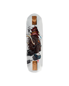 Rayne Longboards Store